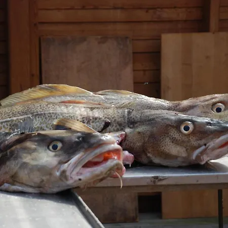 Farmen I Dom wakacyjny Hanstholm