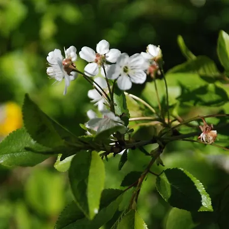 Farmen I Dom wakacyjny