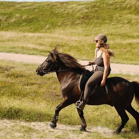 Farmen I * Hanstholm