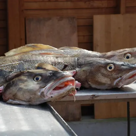 Dom wakacyjny Farmen I